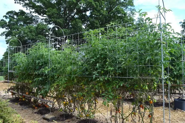 Trellis Frames and Kits